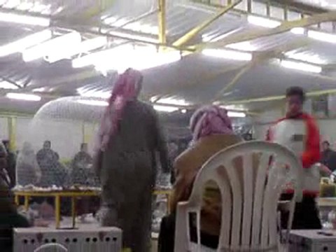 arap güvercin ihalesi guvercinurfa.com