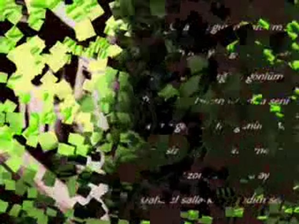sieqoo56