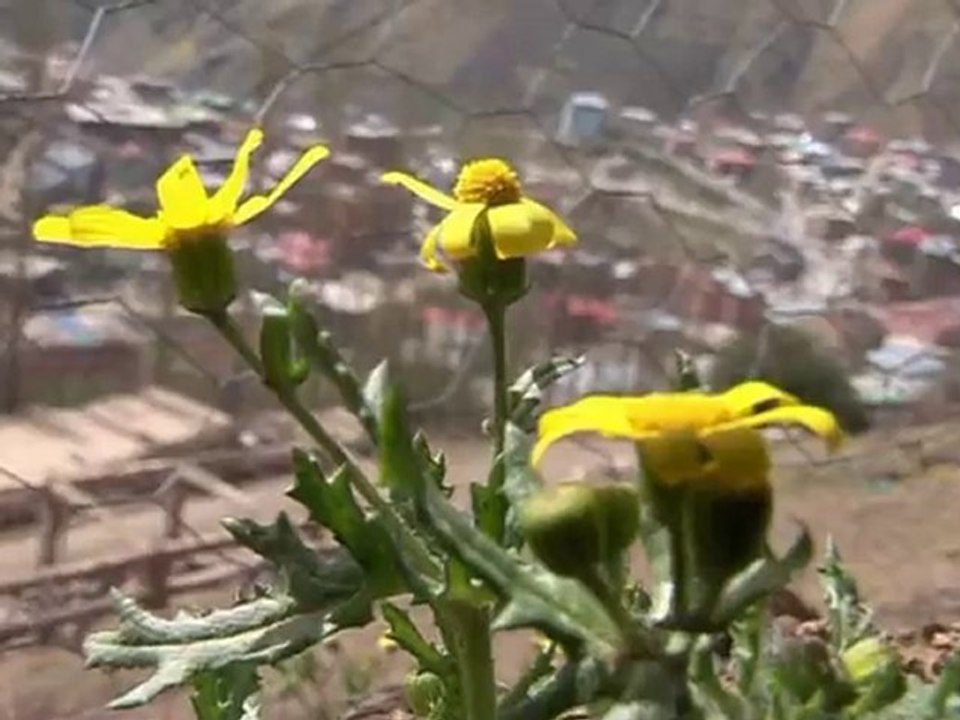 Şemdinli -----Zap Haber