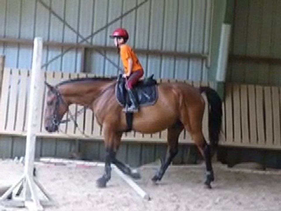 Perlani_260810