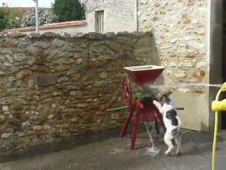 Demi Lune et le jet d'eau