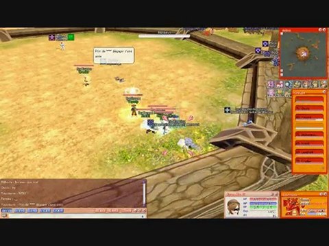 SpyDragon vidage d'arène Flyff