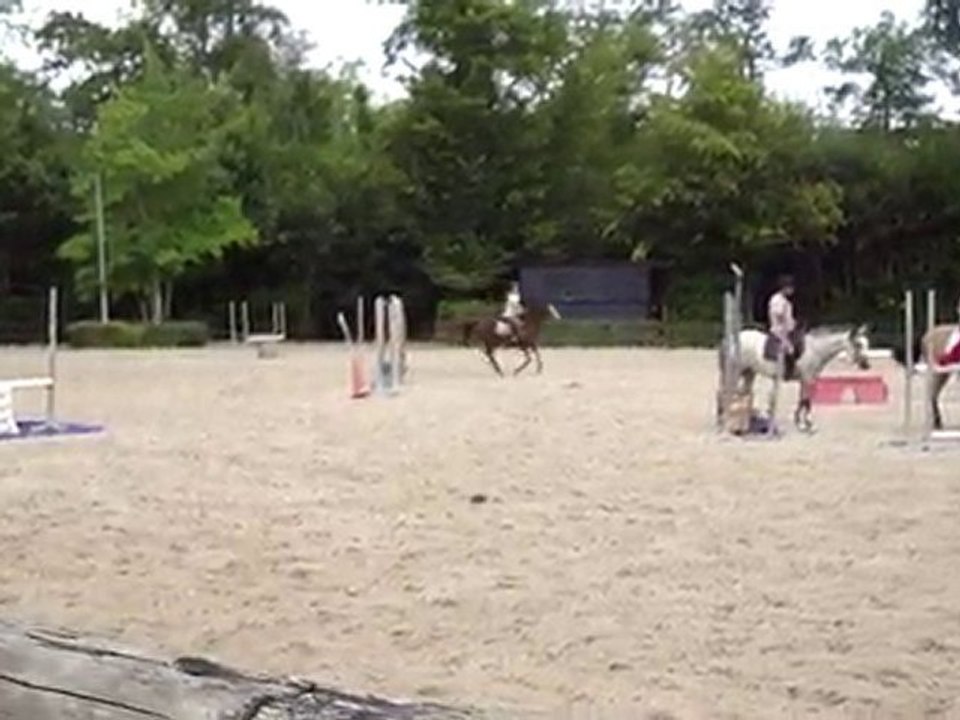 Je fais une grosse chute de Guépard