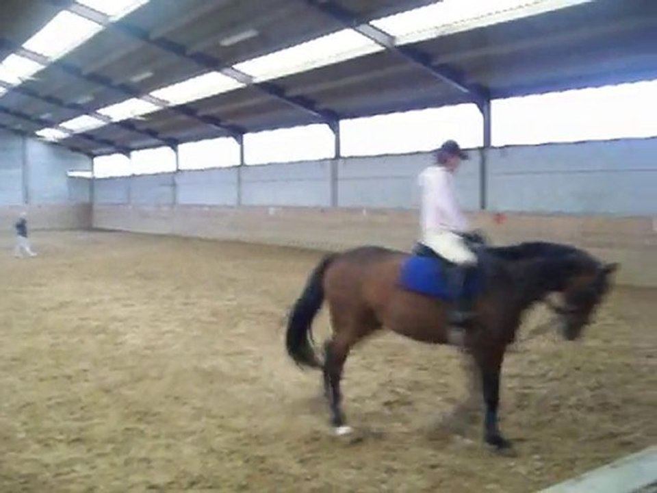 Dressage avec Brume hiver 2010