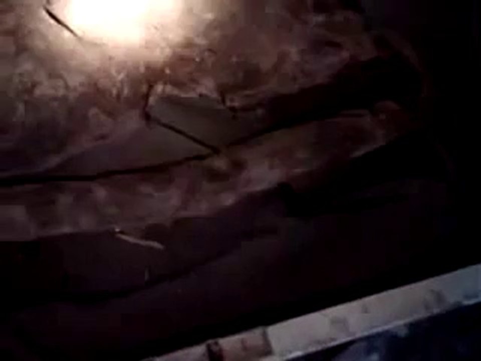 Real Alien-Part4