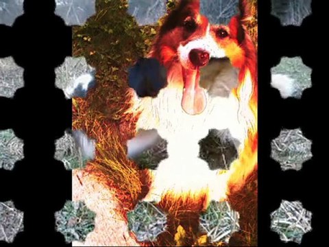 Repose en paix mon ange