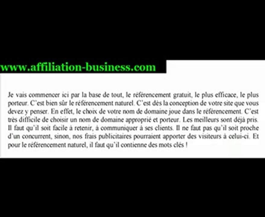 affiliation-business et le référencement naturel !