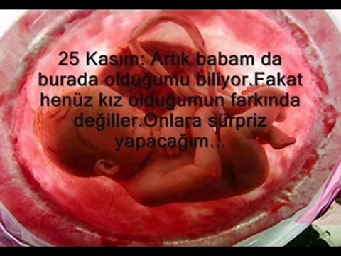 Bir bebeğin başlamadan biten hikayesi:(