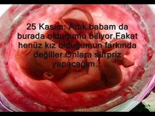 Bir bebeğin başlamadan biten hikayesi:(