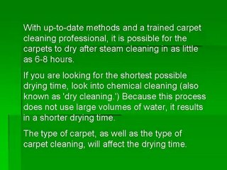 Hours That It Takes For Carpets To Dry
