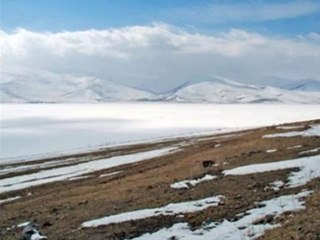 ilkay  akkaya  şerefe