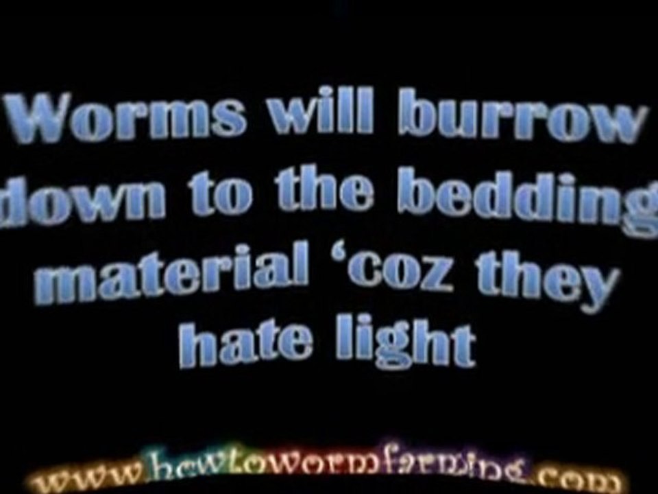 Worm Composting Starting by Creating a Worm Bed