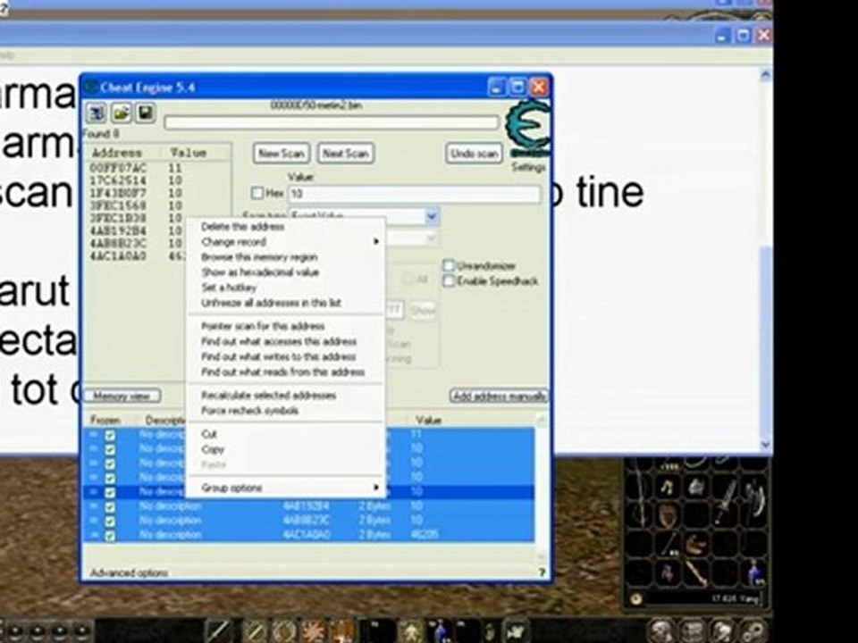 Metin2 ro hack
