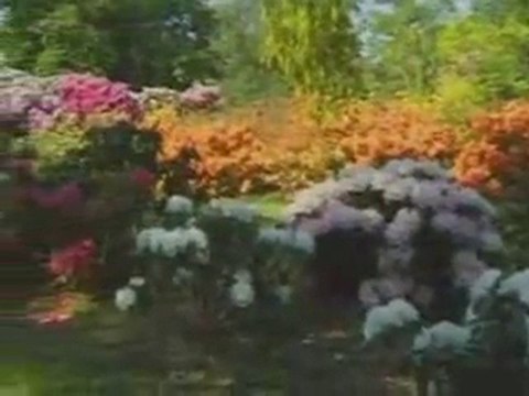 Ahiretten Mektup - Hesap Günü (2)