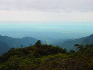 Terapi, Terapist, Terapi, müzikleri