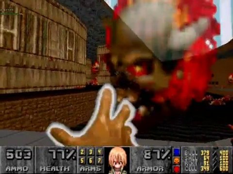 Swan Fox (RagnaDOOM project) : Weapons test 3
