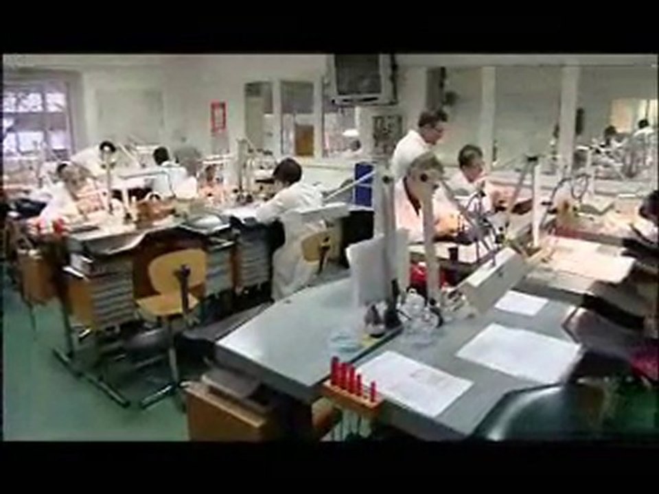 L'emploi des seniors