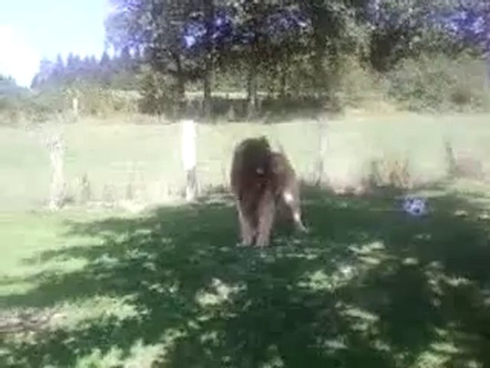 eclair qui joue