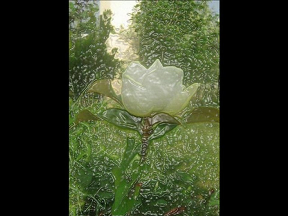 fleurs