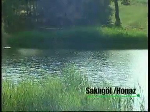 EFE MENDİL VEREM Mİ