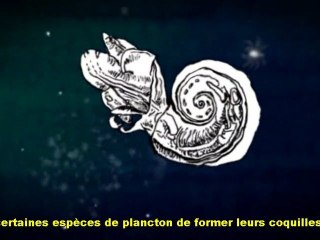 L'acidification des océans
