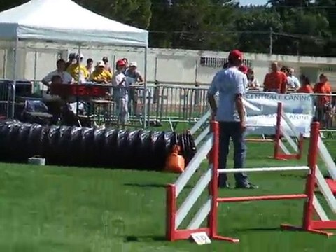Cayenne Agility 1 Finale trophée par équipe 2010