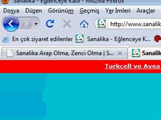 Sanalika.esden türke nasıl girilir bilgi