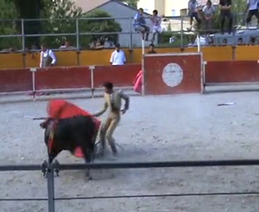 "Kike" (Cédric Fructueux) Langlade 2010 finale