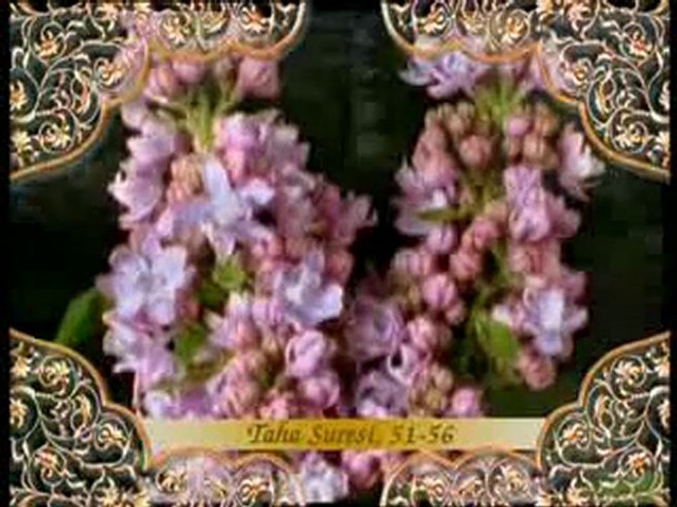 Hz. Musa kıssası: Hz. Musa'nın Firavun'a tebliği