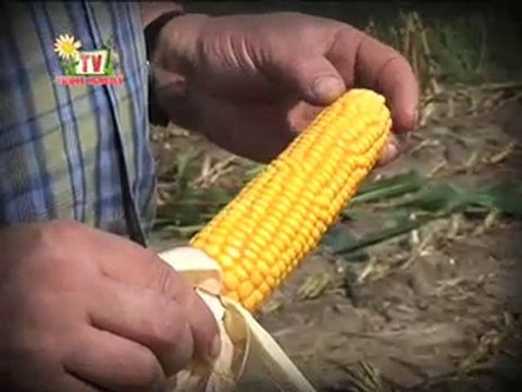 Journal de Vendée agricole TV du 27 août 2010