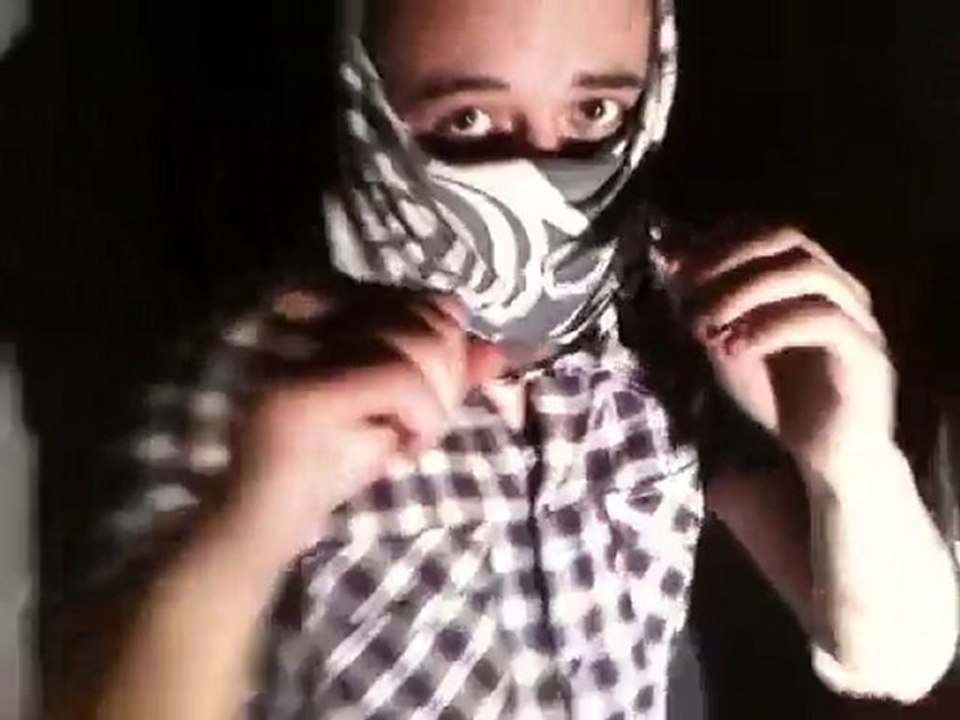 les frelons de ROHFF CLACHE MORSAY 1/2