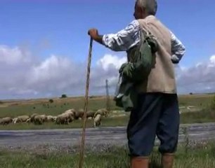 Summer time on the asphalt. The beginning of a travel