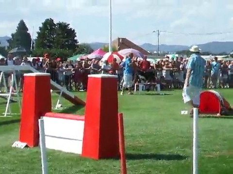 Tao Agility 2 Finale trophée par équipe 2010