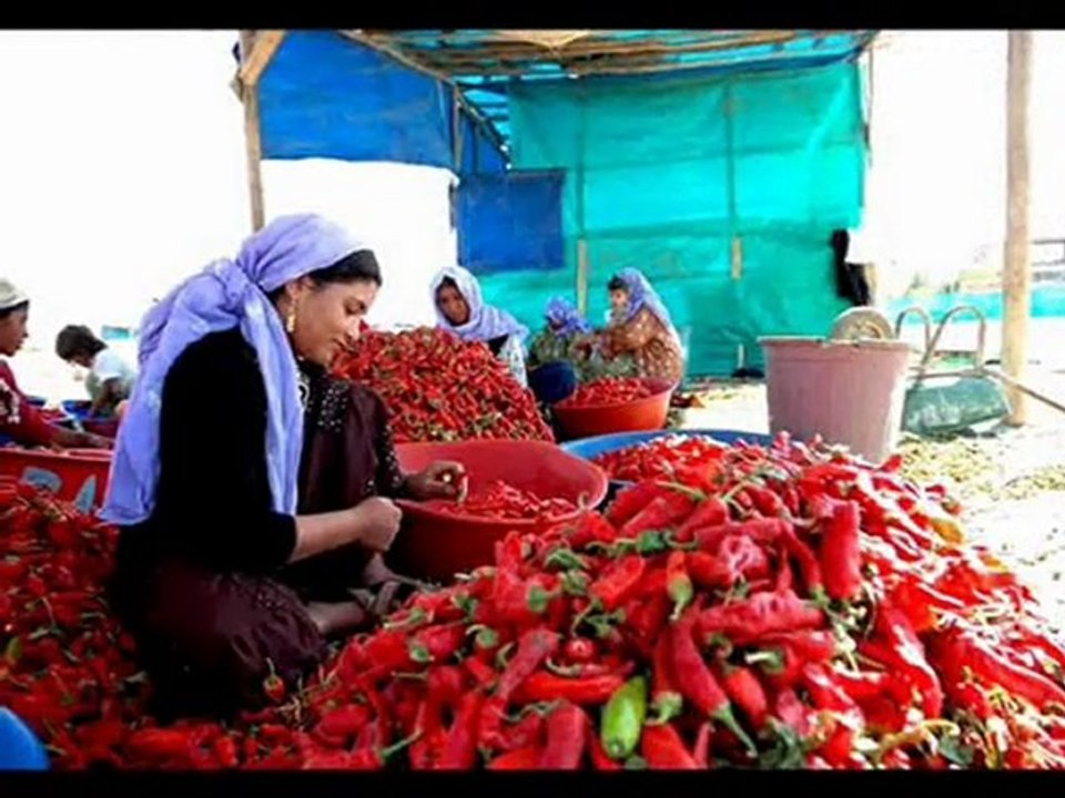 Burası Urfa