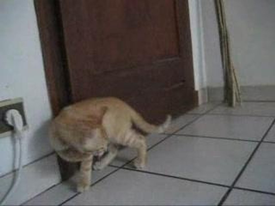 titou qui joue