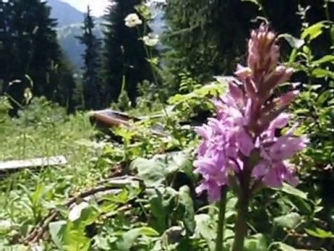 randonnées Châtel juillet 2010