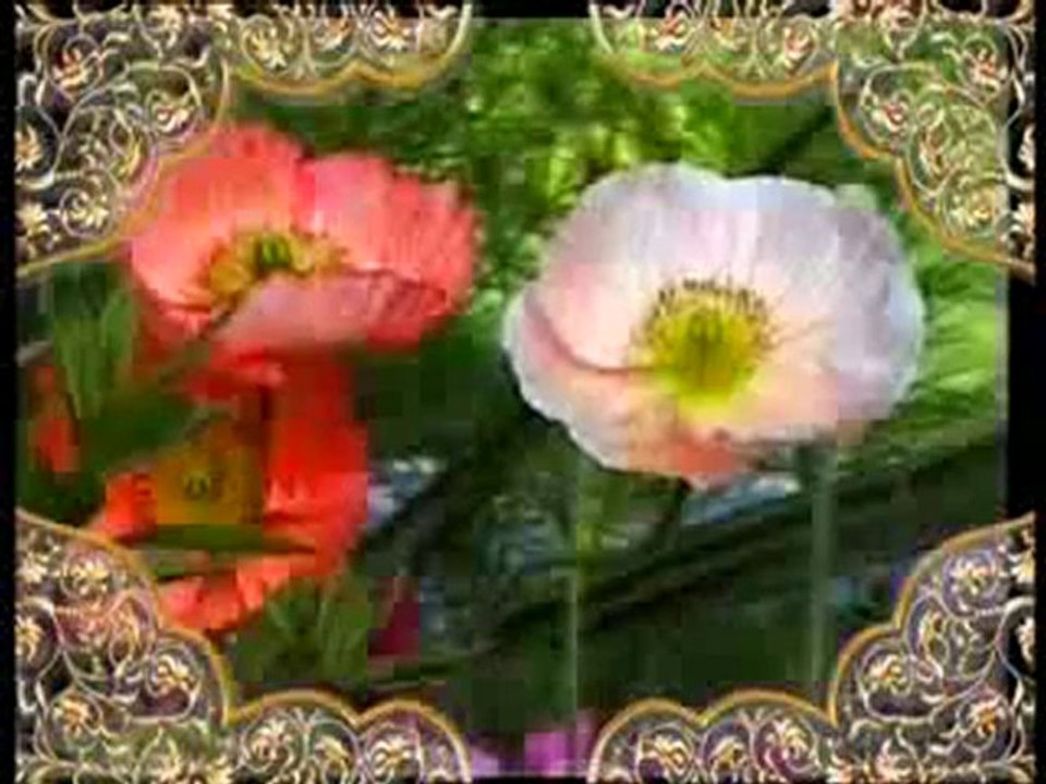 Hz. Musa kıssası: Hz. Musa'nın doğumu ve erginlik çağı