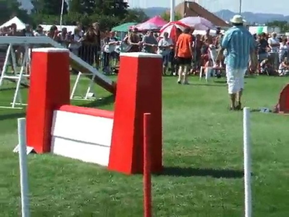 Bola Agility 2 Finale trophée par équipe 2010