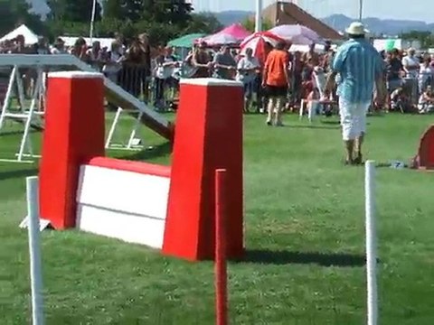 Bola Agility 2 Finale trophée par équipe 2010