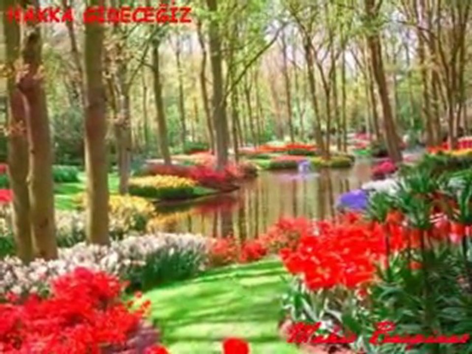 HAKKA_GIDECEGIZ
