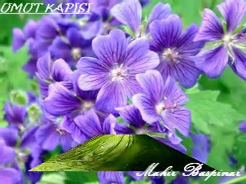 MEVLANA_Mahir-Baspinar