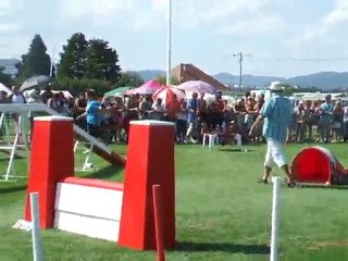 After Agility 2 Finale trophée par équipe 2010