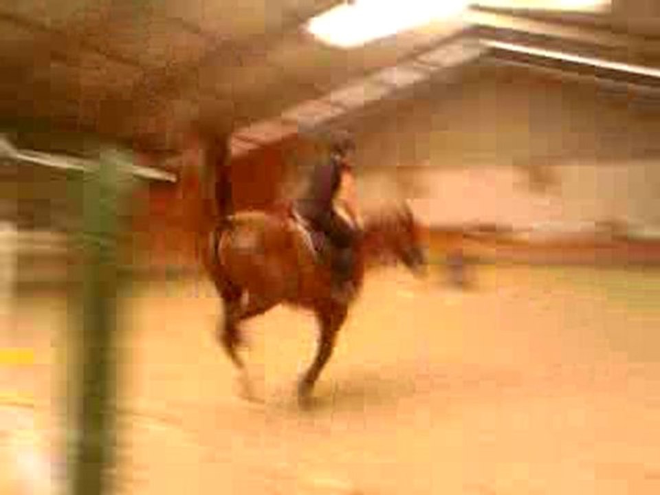 P.A saut s'obstacles (3)