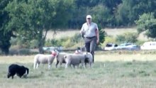 Continental Sheepdog Championship 2010: Tony Ottesen