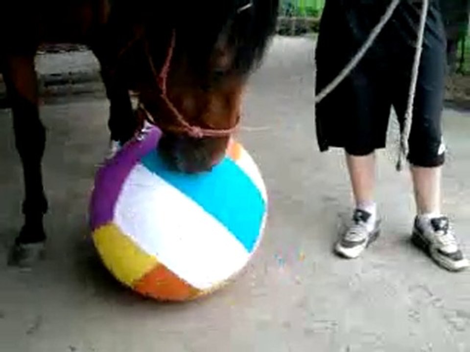 Ulkhan désensibilisation au ballon