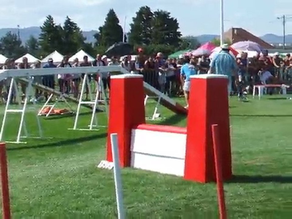 Cayenne Agility 2 Finale trophée par équipe 2010