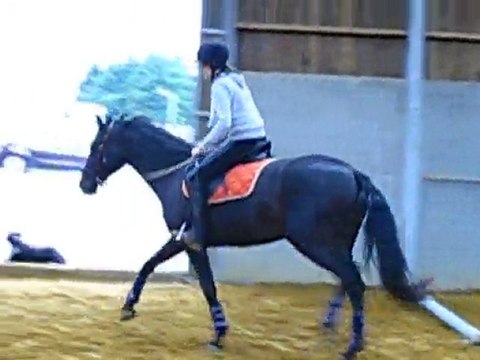 Ulys premiers sauts 27 aout 004