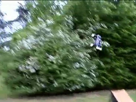 Team ORCA, le 13/05/2010, élagage d'arbres