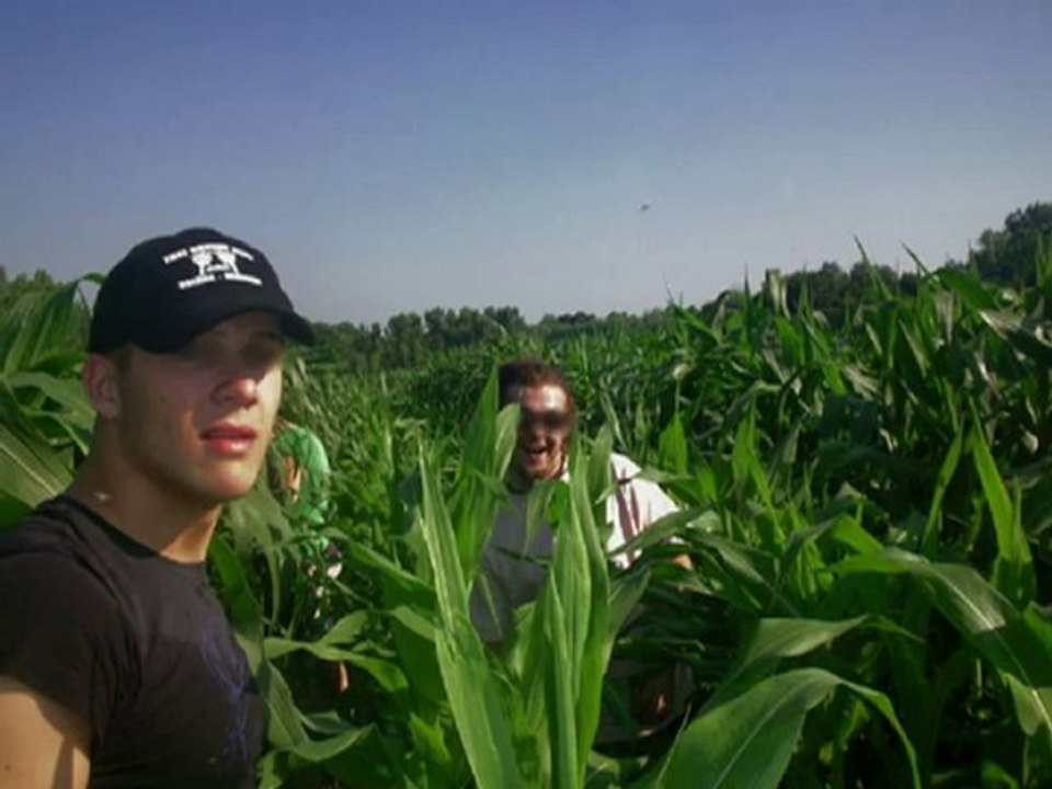 Daytime UFO Over Brezice, Slovenia - 11 July 2010