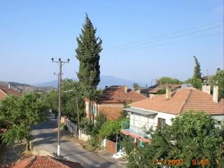 dampınar  davul  zurna